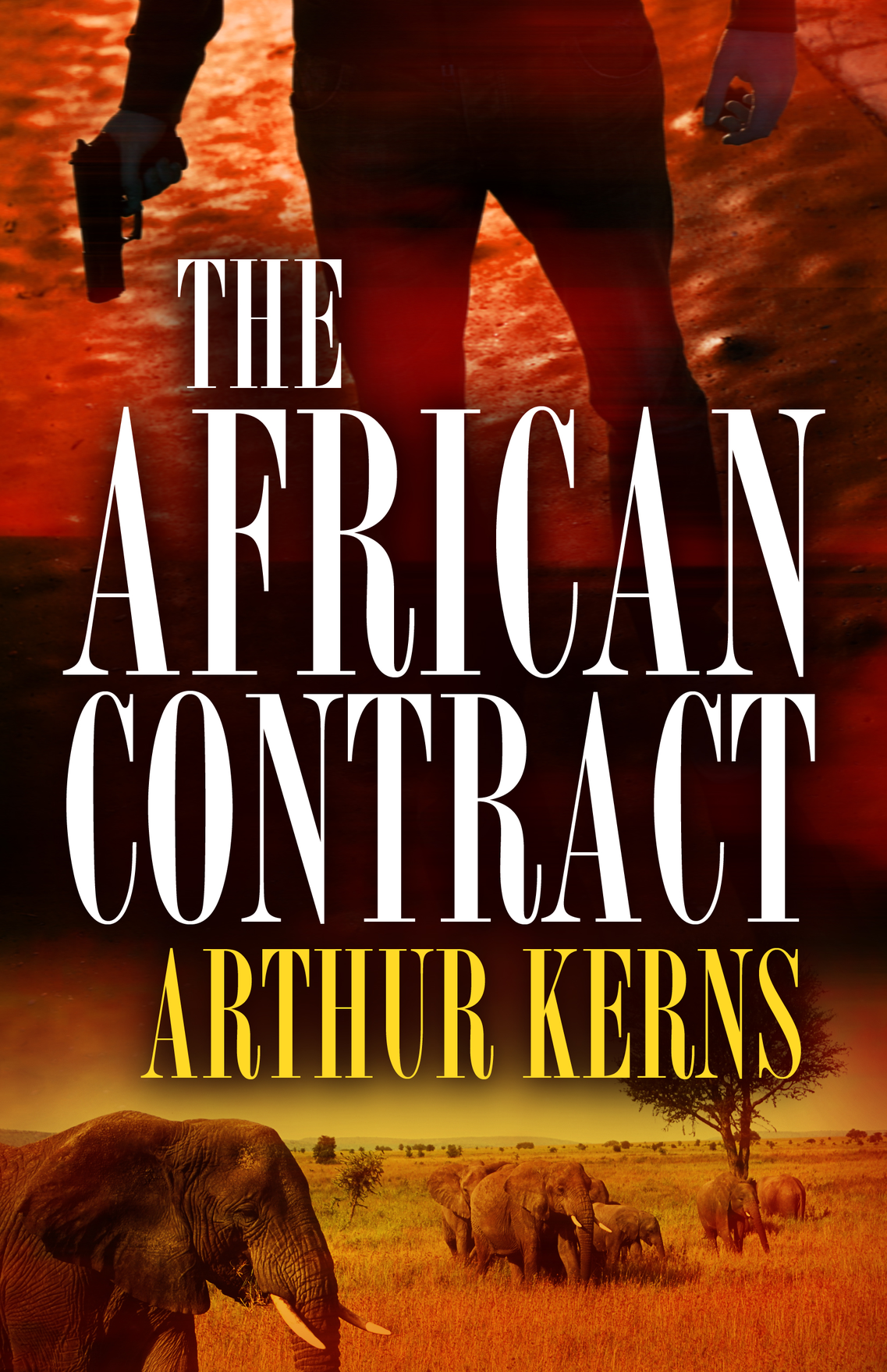 The African Contract (2014)