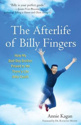 The Afterlife of Billy Fingers: How My Bad-Boy Brother Proved to Me There's Life After Death (2013)