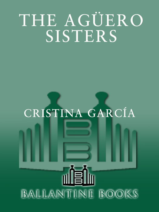 The Aguero Sisters (2011) by Cristina Garcia