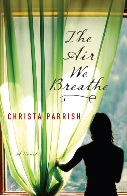 The Air We Breathe by Christa Parrish