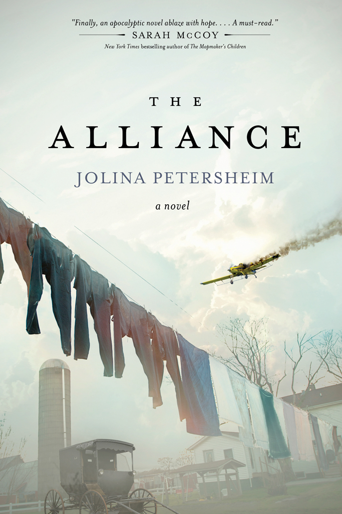 The Alliance (2016) by Jolina Petersheim