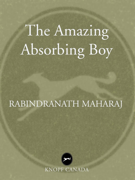 The Amazing Absorbing Boy (2010) by Rabindranath Maharaj