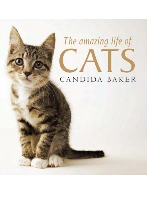 The Amazing Life of Cats by Candida Baker