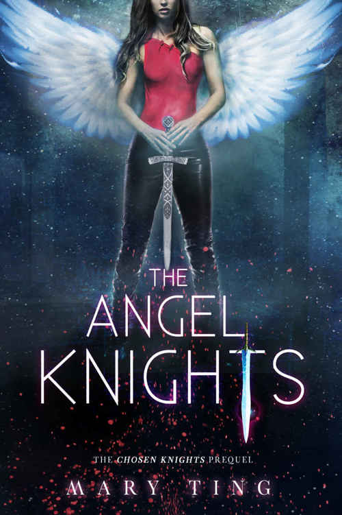 The Angel Knights-Prequel (The Angel Knights Series Book 1) by Mary Ting