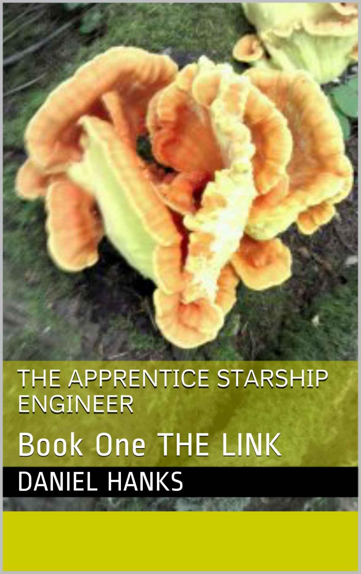 The Apprentice Starship Engineer: Book One The Link