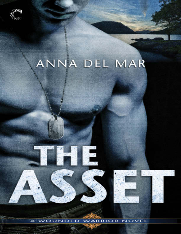 The Asset (2016) by Anna Del Mar