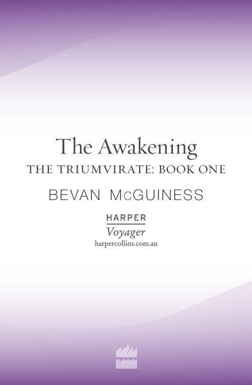 The Awakening by McGuiness, Bevan