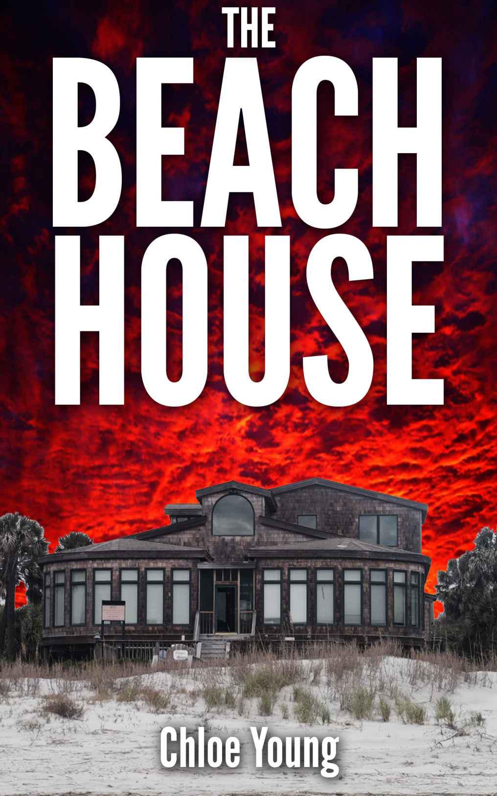 The Beach House by Young, Chloe