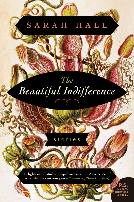 The Beautiful Indifference by Sarah Hall