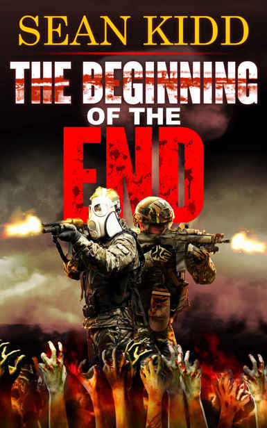 The Beginning of the End by Kidd, Sean