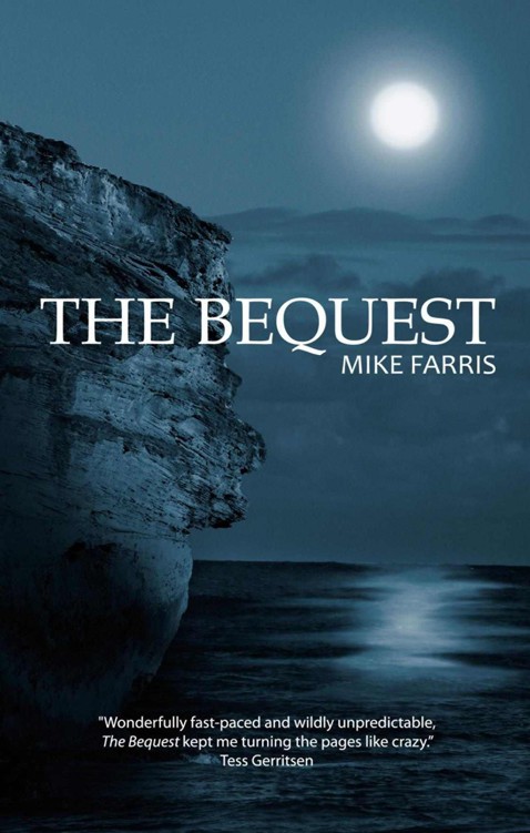 The Bequest by kindle@netgalley.com