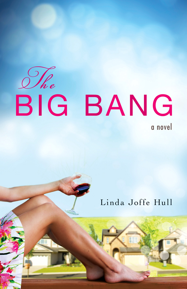 The Big Bang (2012) by Linda Joffe Hull