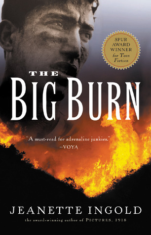 The Big Burn (2003) by Jeanette Ingold