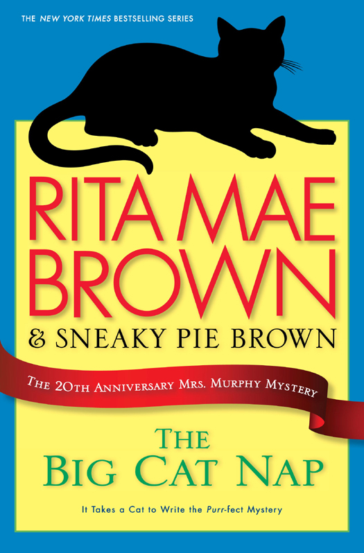 The Big Cat Nap (2012) by Rita Mae Brown