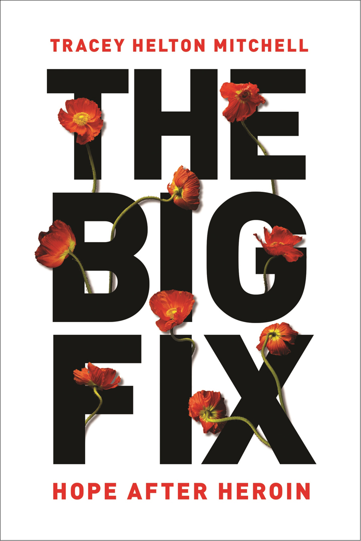 The Big Fix by Tracey Helton Mitchell