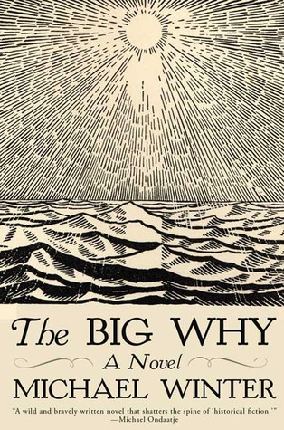 The Big Why: A Novel (2006)