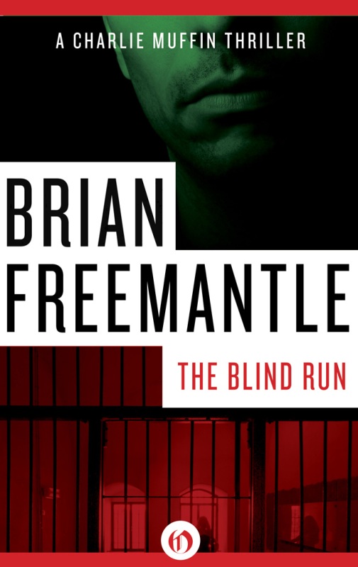 The Blind Run (2011) by Brian Freemantle