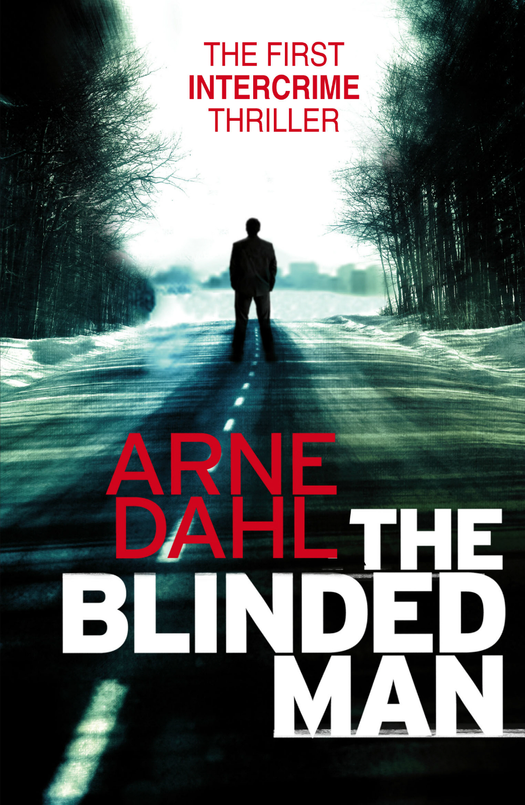 The Blinded Man by Arne Dahl