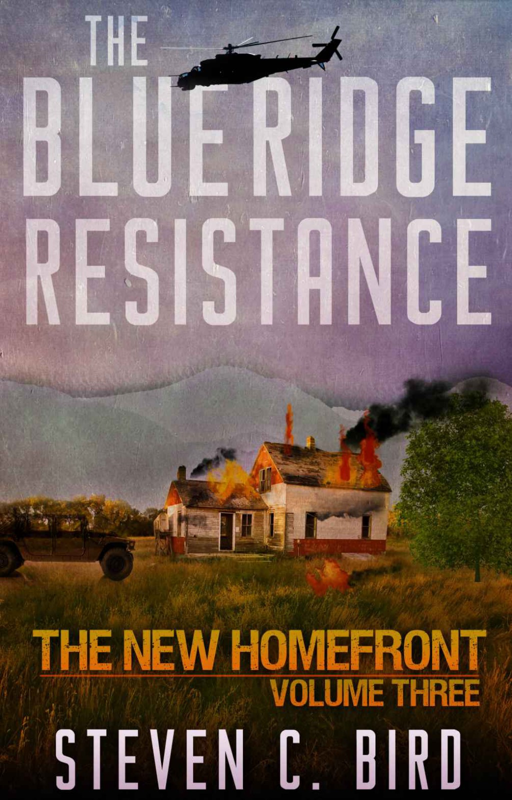 The Blue Ridge Resistance by Steven Bird