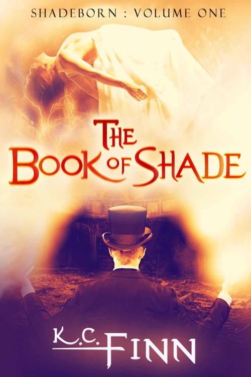 The Book Of Shade (Shadeborn 1)