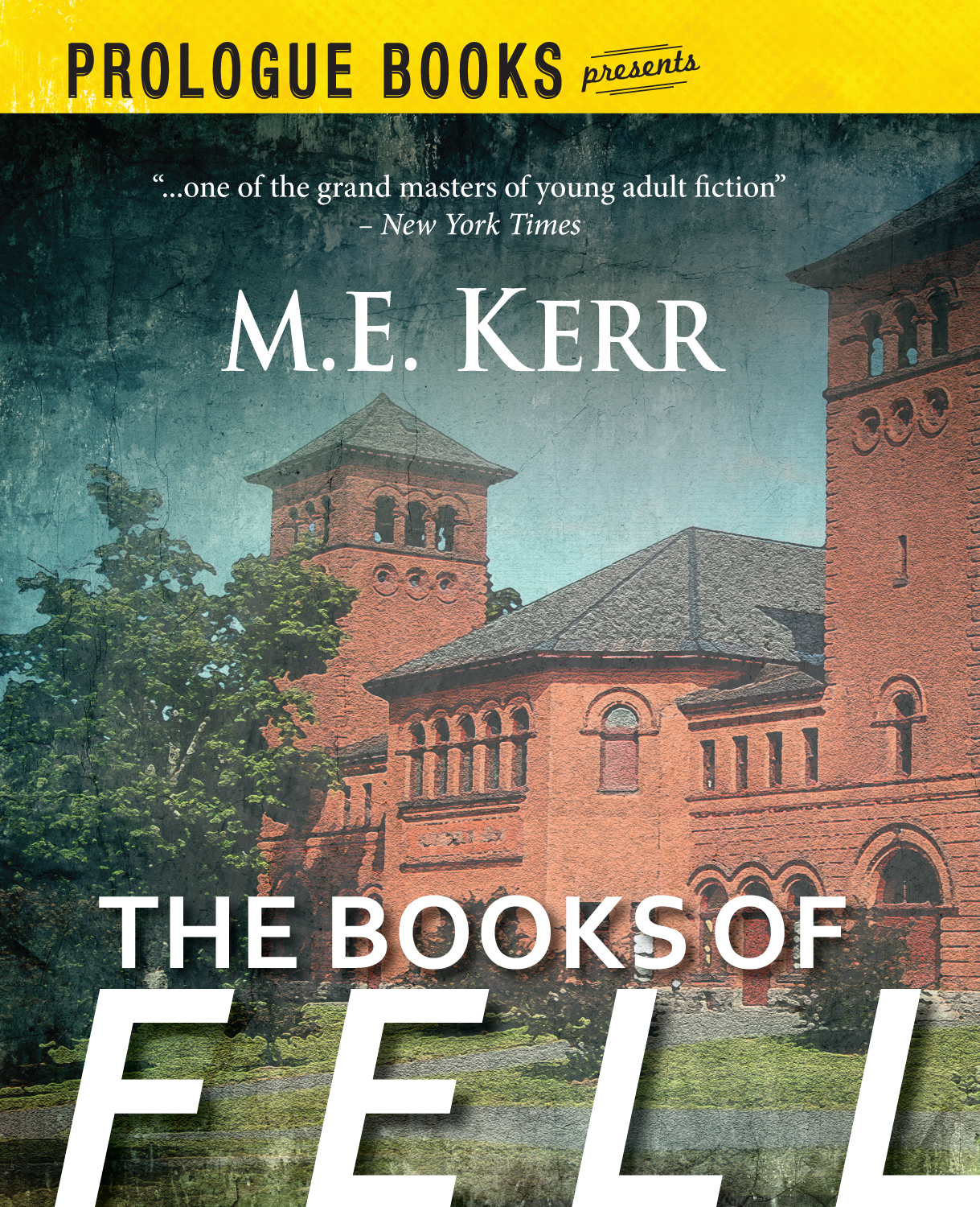 The Books of Fell (2016) by M.E. Kerr