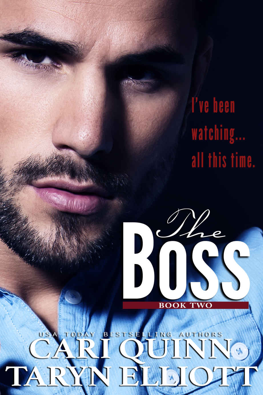 The Boss Vol. 2 (The Boss #2) by Cari Quinn