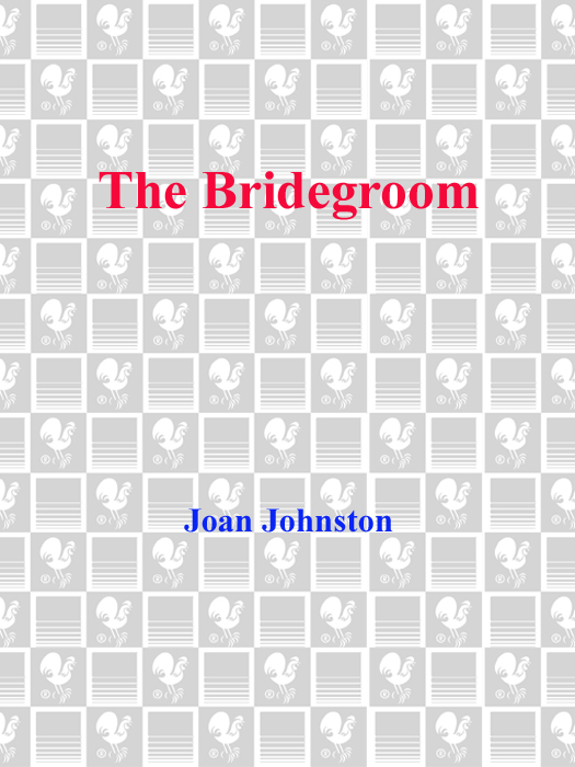 The Bridegroom (2014) by Joan Johnston