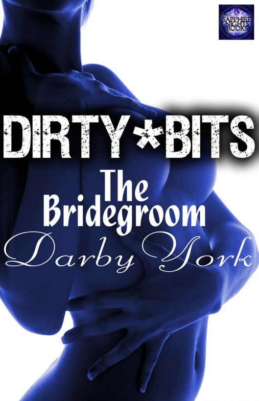 The Bridegroom by Darby York