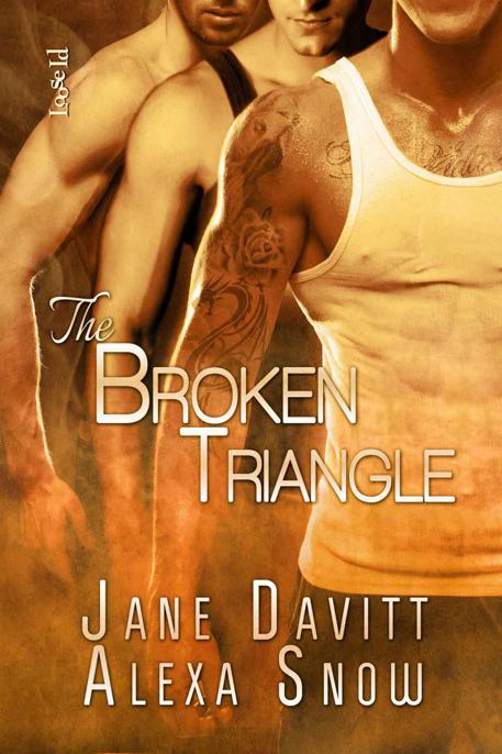 The Broken Triangle by Davitt, Jane