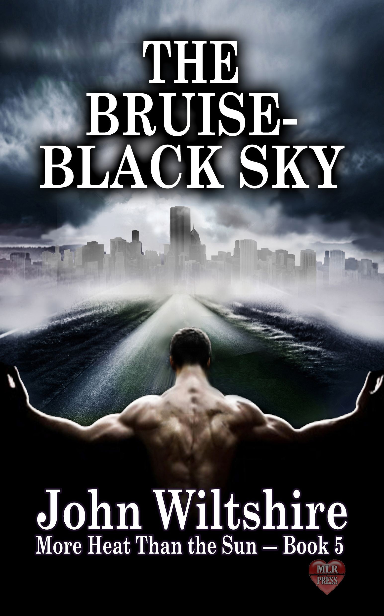 The Bruise_Black Sky (2015) by John  Wiltshire