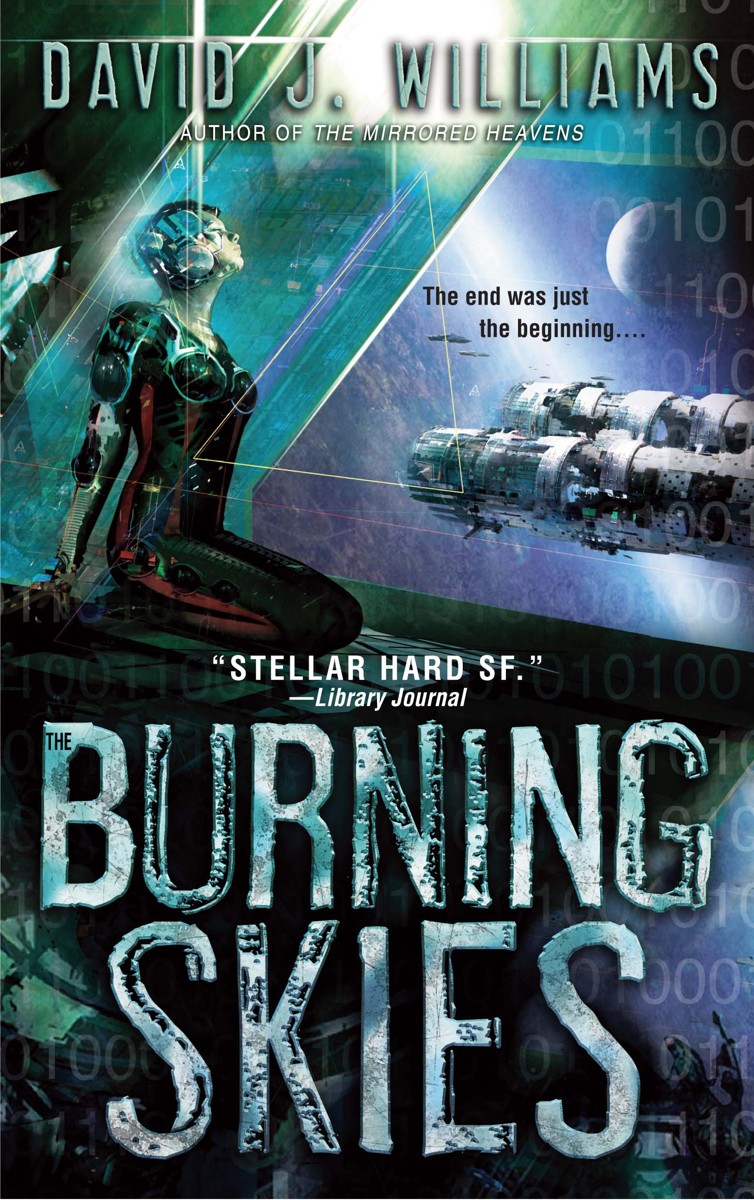 The Burning Skies by David J. Williams