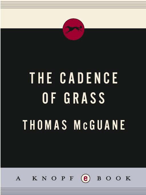 The Cadence of Grass