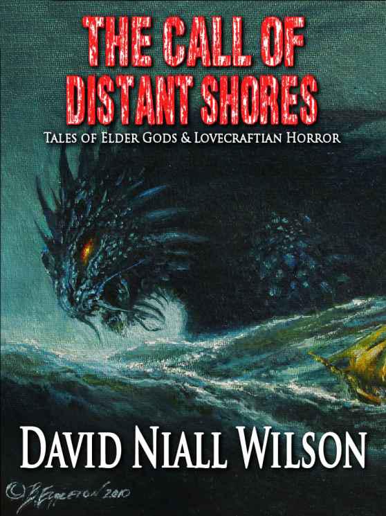 The Call of Distant Shores by Wilson, David Niall