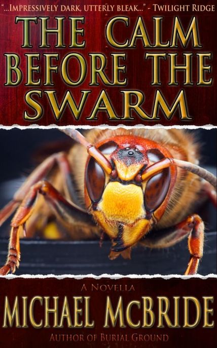 The Calm Before The Swarm by Michael McBride