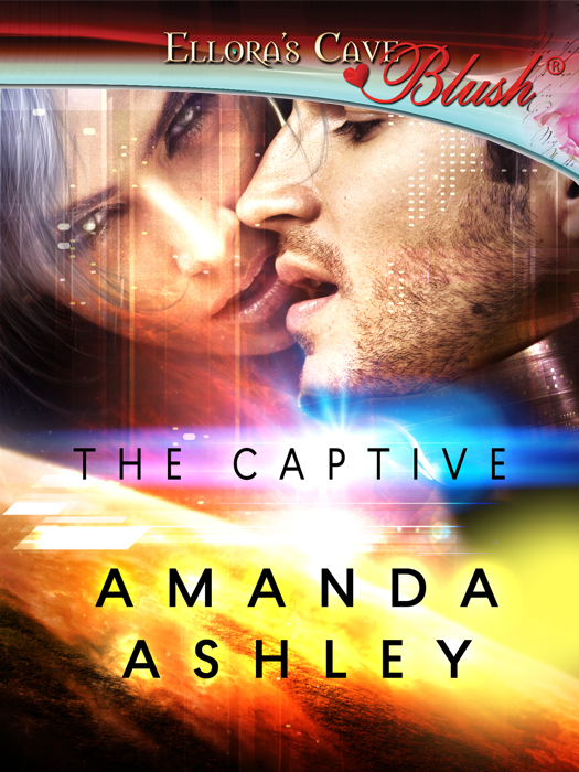 The Captive (2014) by Amanda Ashley