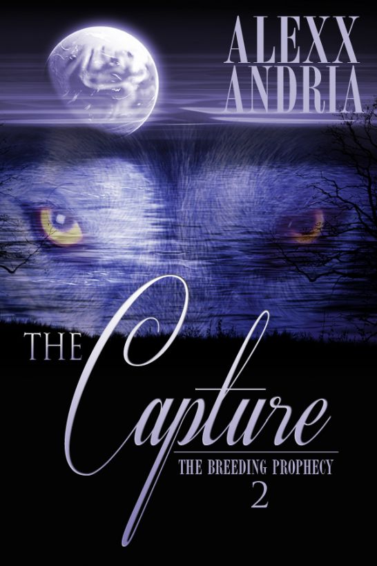 The Capture by Alexx Andria