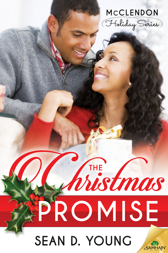 The Christmas Promise (2015) by Sean D. Young