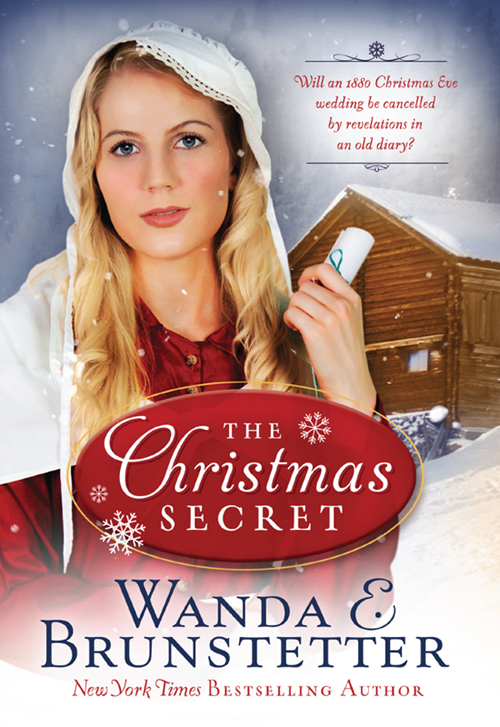 The Christmas Secret (2011) by Brunstetter, Wanda E.
