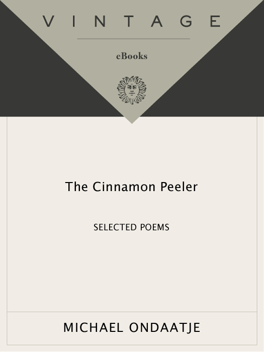 The Cinnamon Peeler (2011)