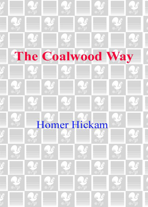 The Coalwood Way (2007)