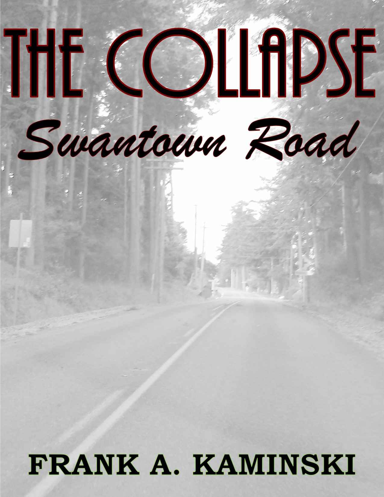 THE COLLAPSE: Swantown Road by Frank Kaminski