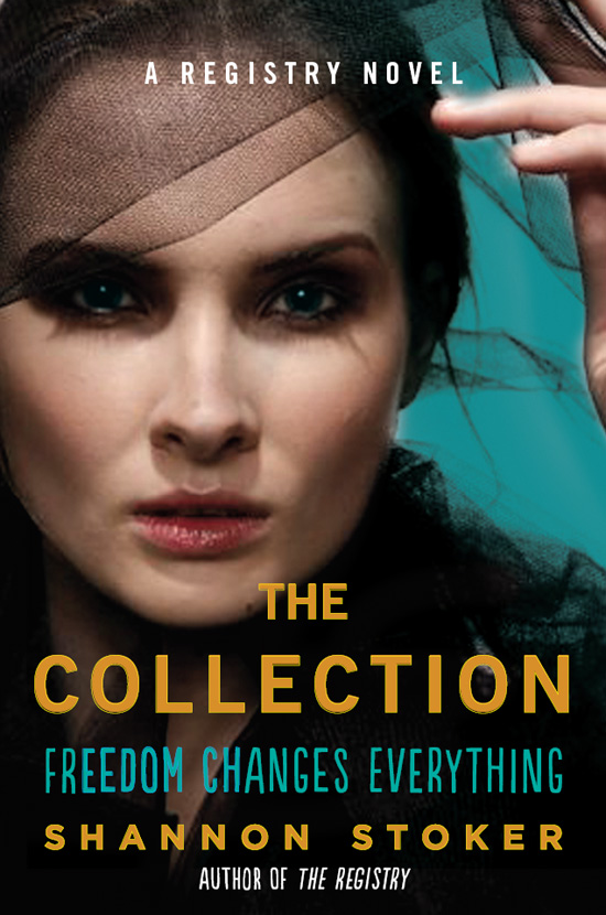 The Collection (2013) by Shannon Stoker