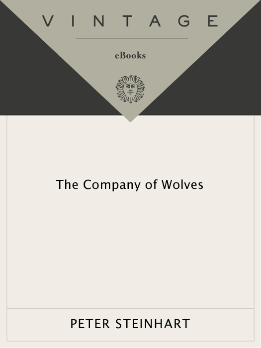 The Company of Wolves (2011)