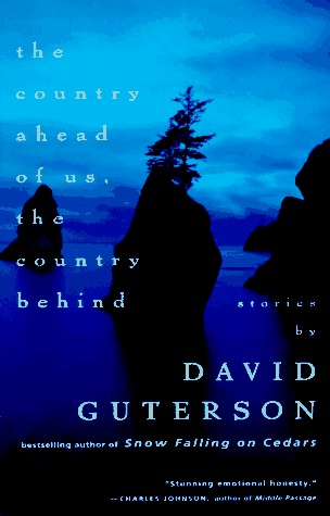 The Country Ahead of Us, the Country Behind (1996)