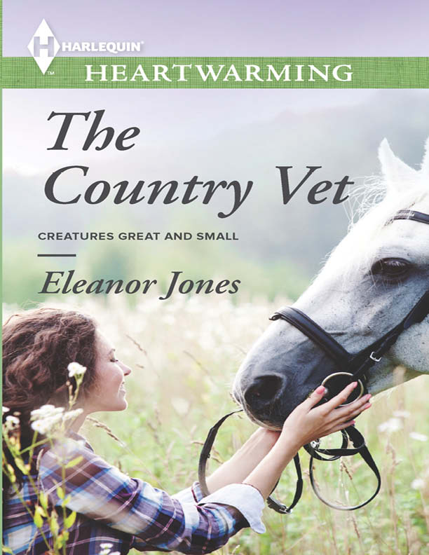 The Country Vet (2014) by Eleanor Jones