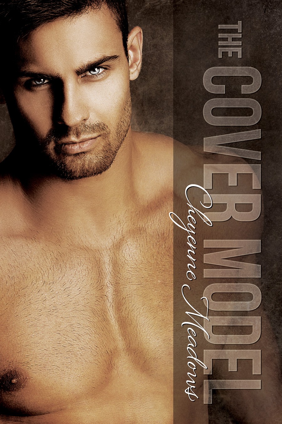 The Cover Model (2014) by Cheyenne Meadows