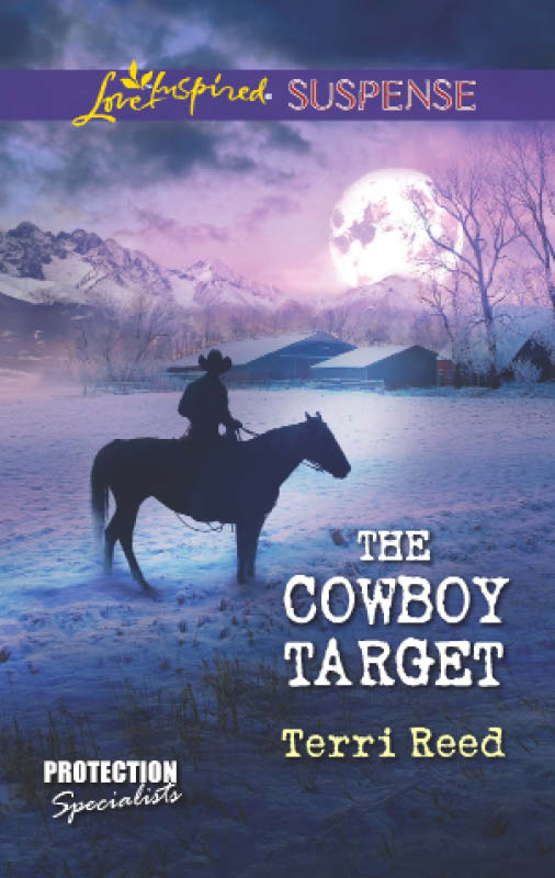 The Cowboy Target (2012) by Terri Reed