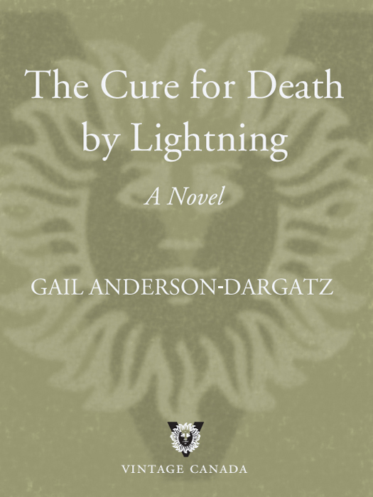 The Cure for Death by Lightning by Gail Anderson-Dargatz