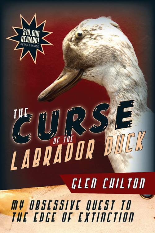 The Curse of the Labrador Duck by Glen Chilton