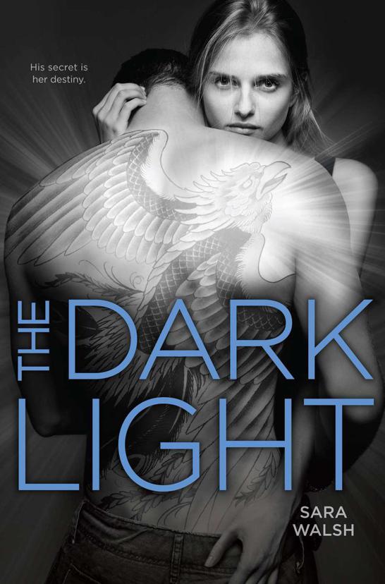 The Dark Light by Walsh, Sara